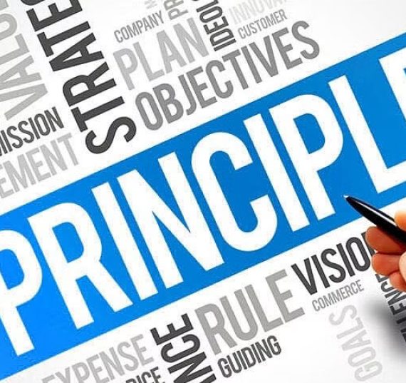 project-management-basic-principles-article